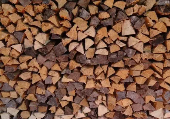 How Much Is A Cord Of Wood? – The More Firewood Facts