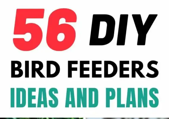 56 DIY Bird Feeders Ideas and Plans