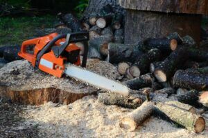 12 Best Chainsaw Reviews Of 2023