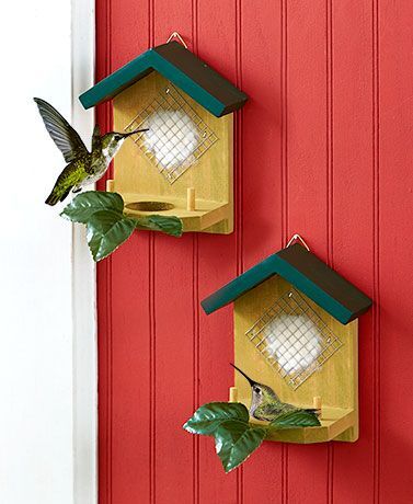 15 DIY Hummingbird House Plans You Can Build - Handy Keen