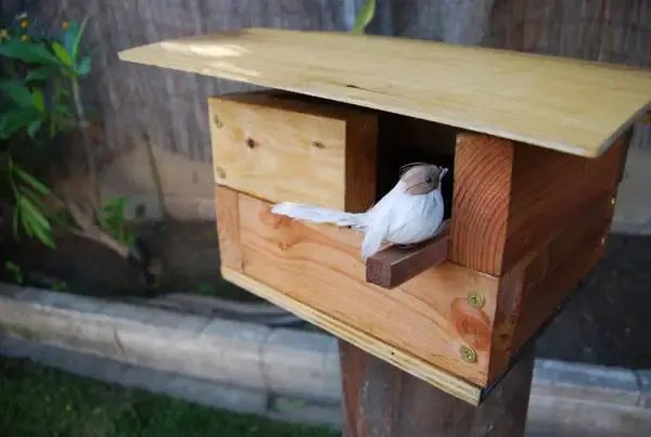 Open Bird Box Modern Birdhouse