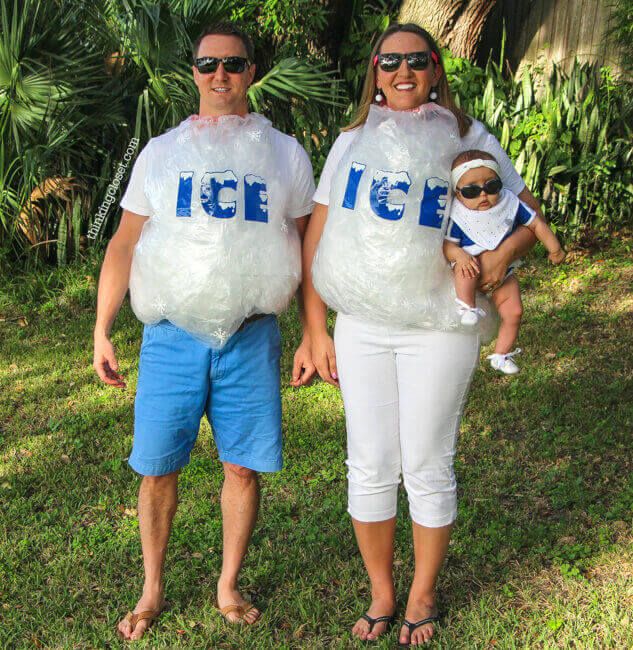 Bag Of Ice Costume