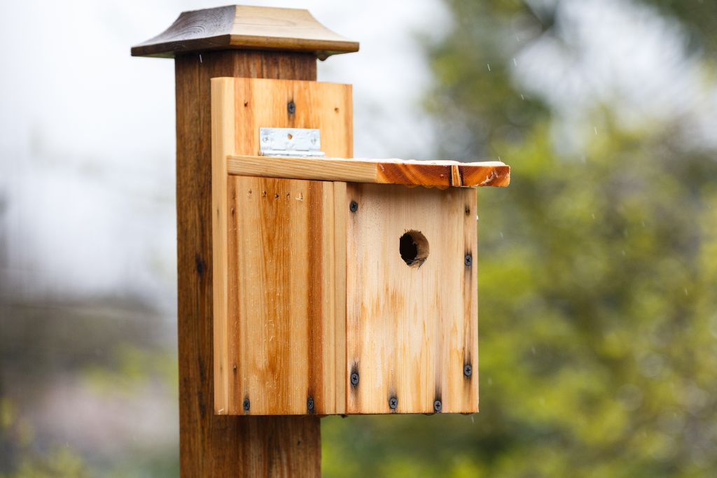 11 DIY Finch Bird House Plans You Can Build Handy Keen