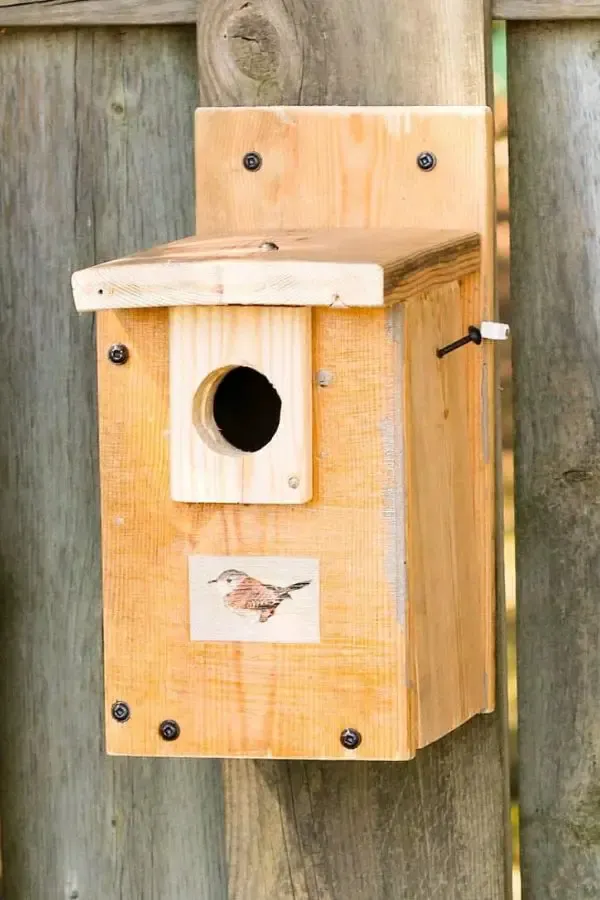 Make A House Wren Nesting Box
