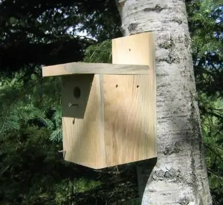Simple Birdhouse Plan