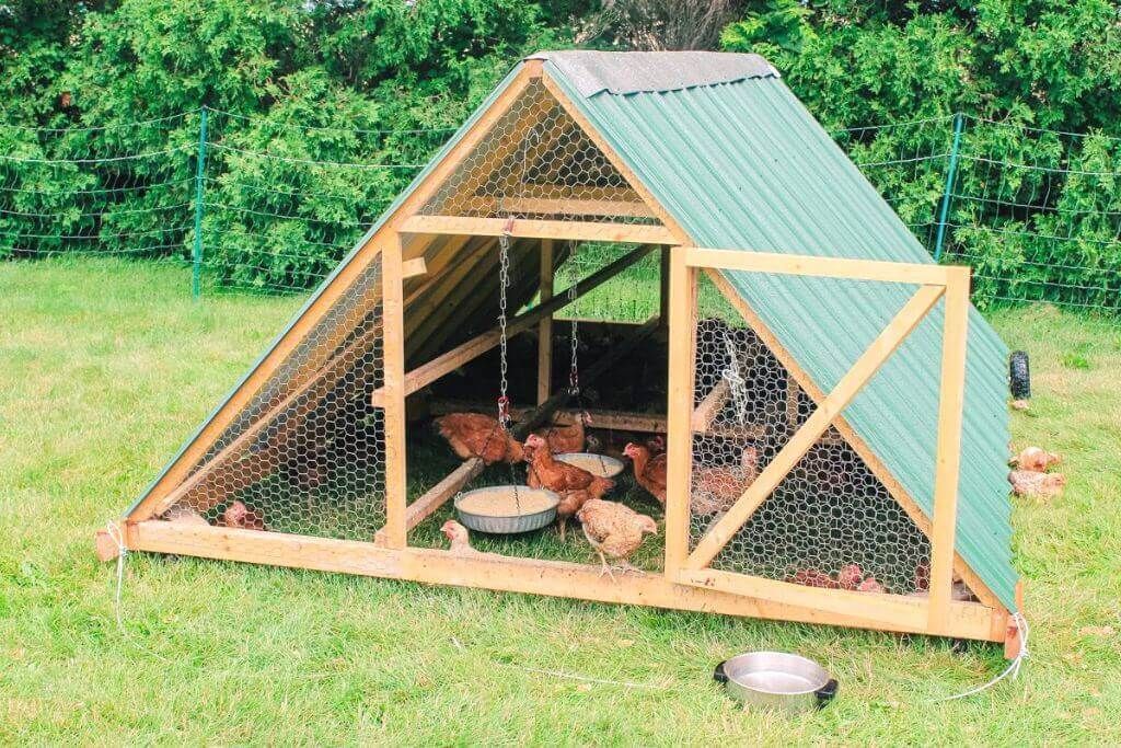Building A Mobile A Frame Chicken Tractor