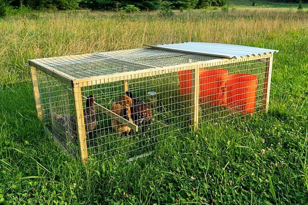 Build A Mobile Chicken Coop From MeatEater