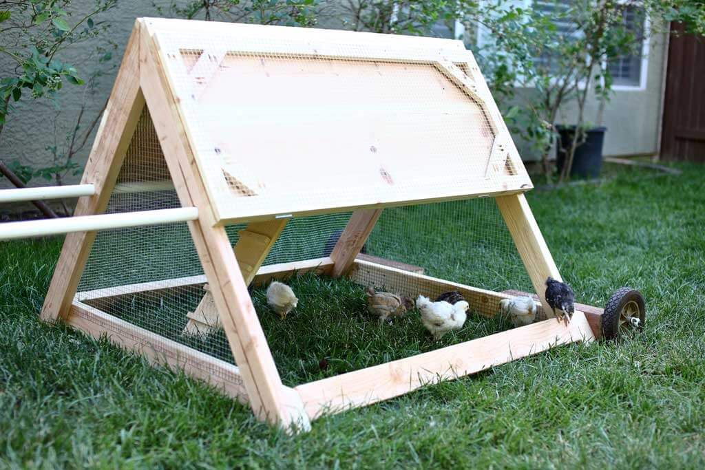 DIY Mobile Triangle-Shaped Chicken Coop