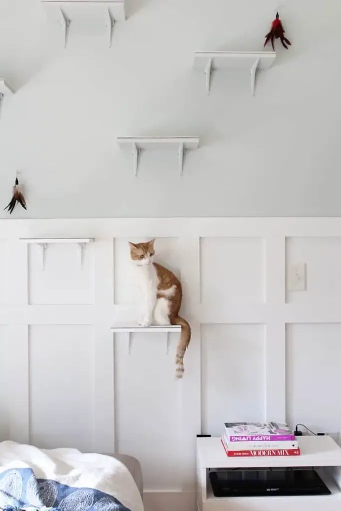 Cat Shelves With Attached Cat Toys