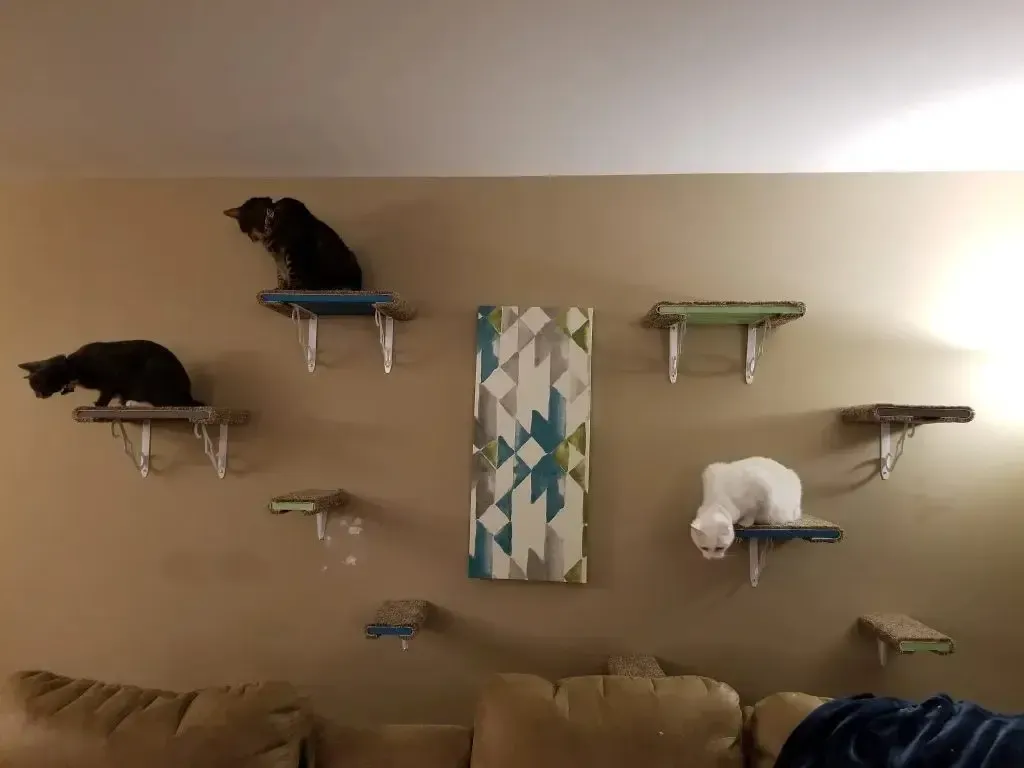 Easy Carpet-Coated Cat Shelves