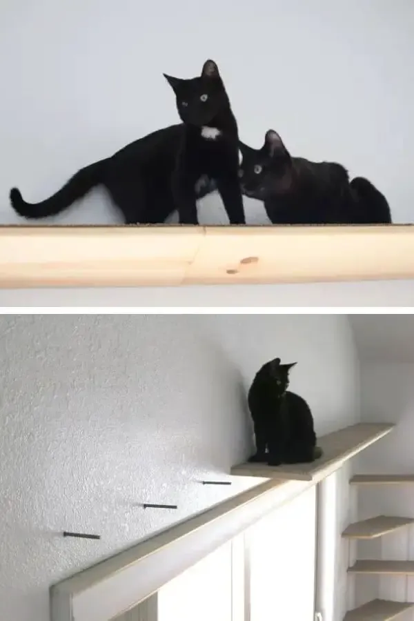 Floating Cat Shelves Using Steel Rods