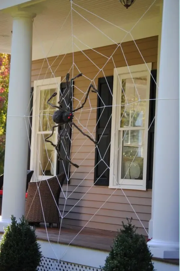 Tangled Web With Giant Spider