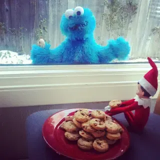 Cookie Monster Locked Outside